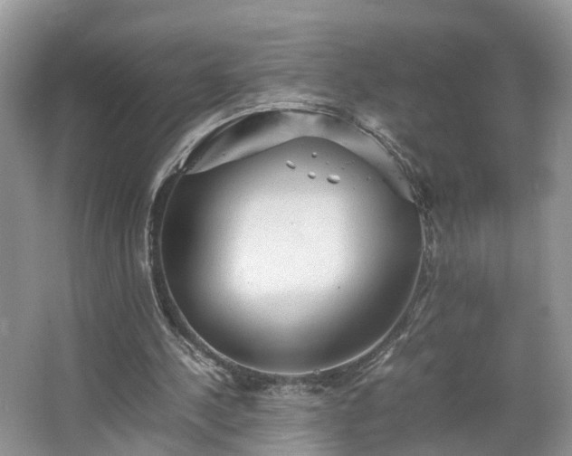 X0000067460244200604101140