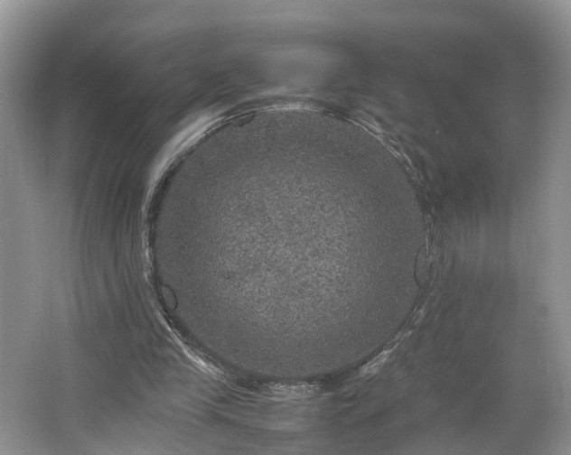 X0000067460245200604101140