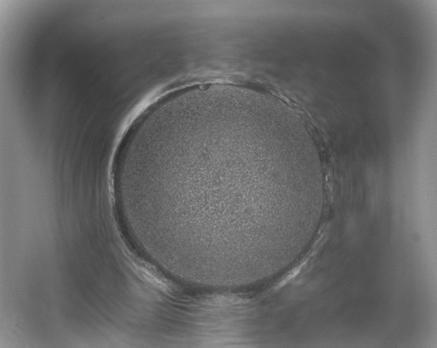 X0000067460246200604101140