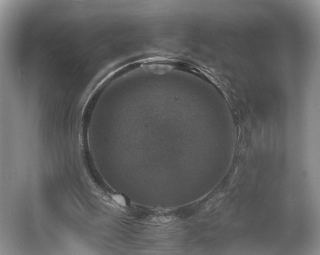 X0000067460247200604101140