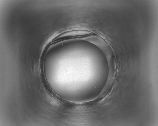 X0000067460248200604101140