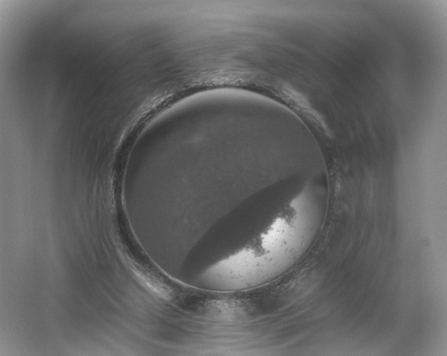 X0000067460250200604101140