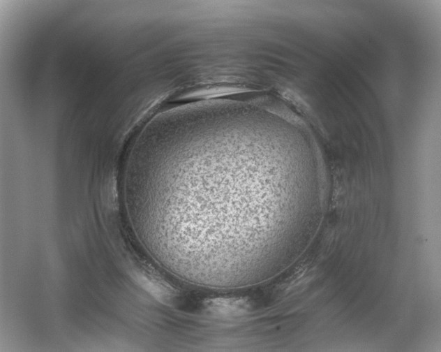 X0000067460251200604101140