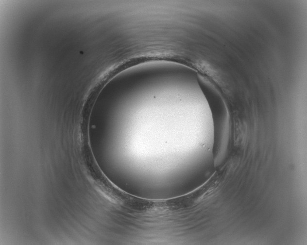 X0000067460252200604101140