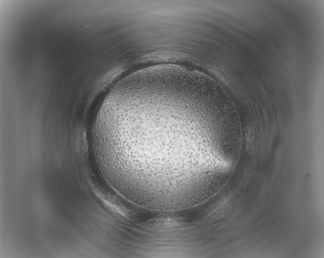 X0000067460254200604101140