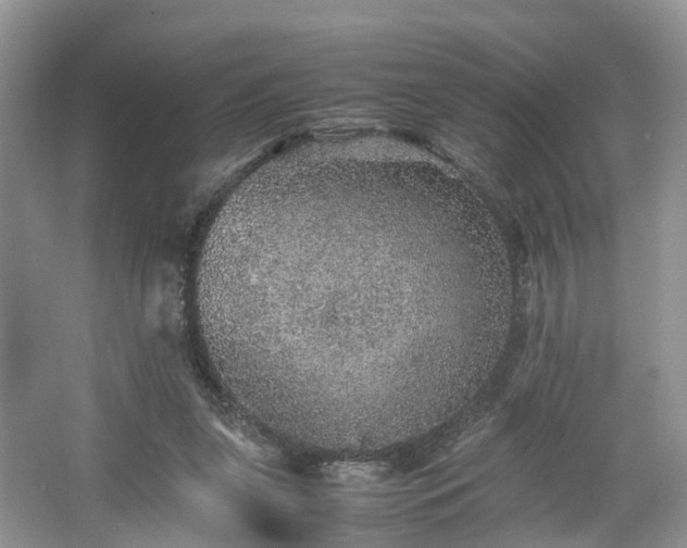 X0000067460255200604101140