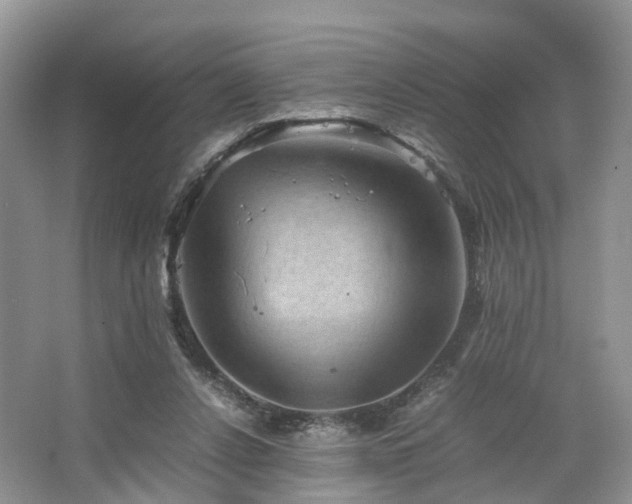 X0000067460256200604101140