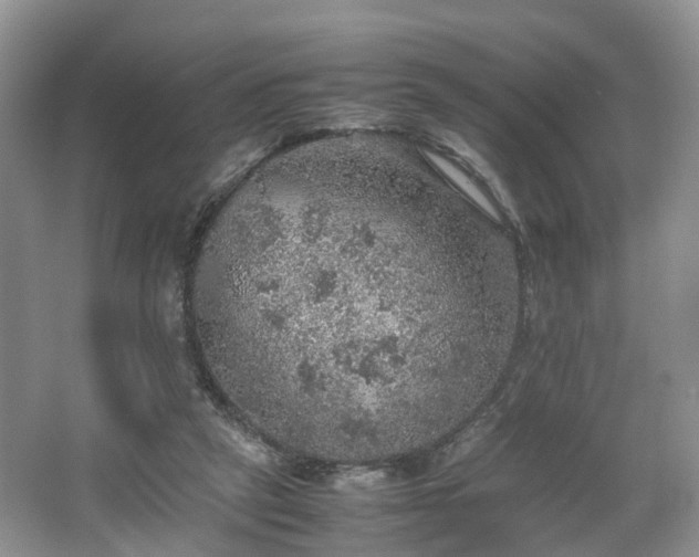 X0000067460257200604101140