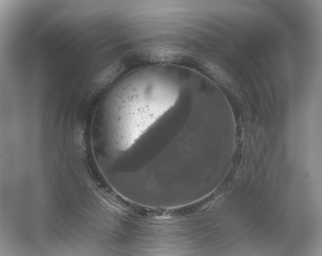 X0000067460258200604101140