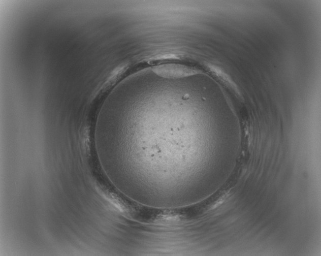 X0000067460260200604101140