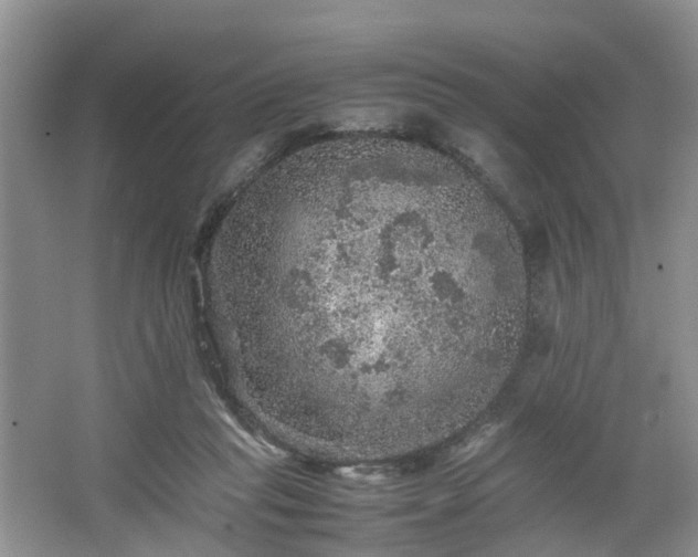 X0000067460261200604101140