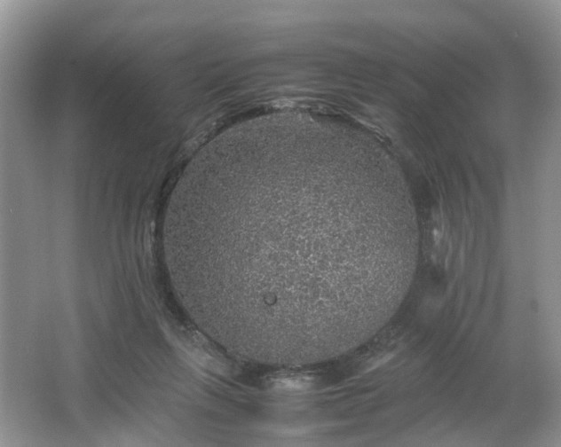 X0000067460263200604101140