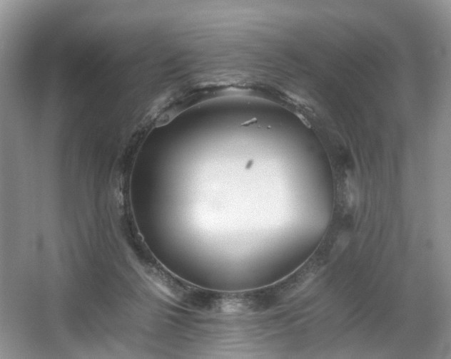 X0000067460264200604101140