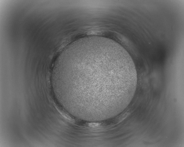 X0000067460265200604101140