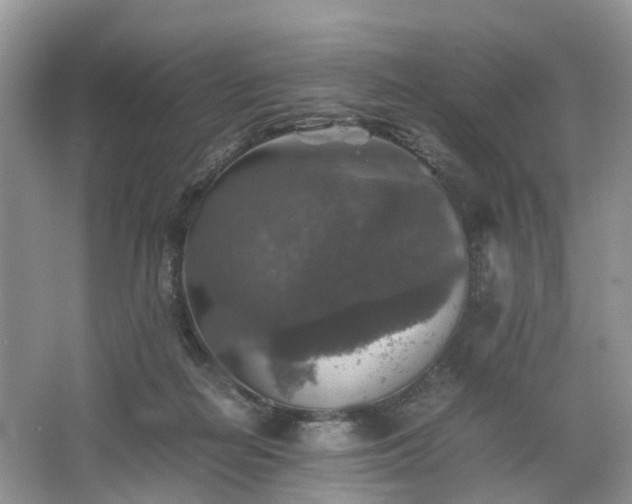 X0000067460266200604101140