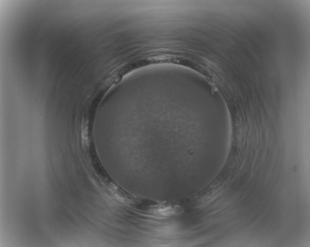 X0000067460267200604101140