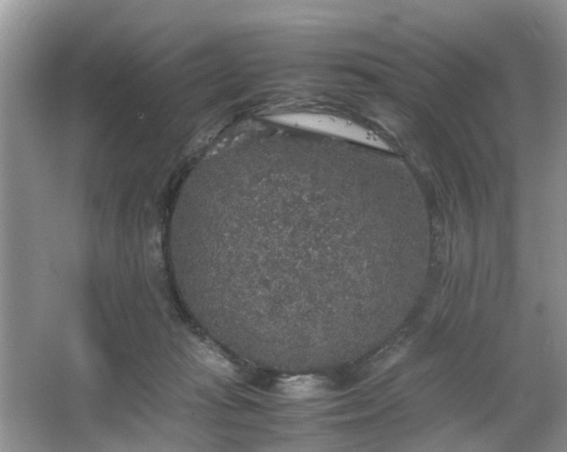 X0000067460269200604101140