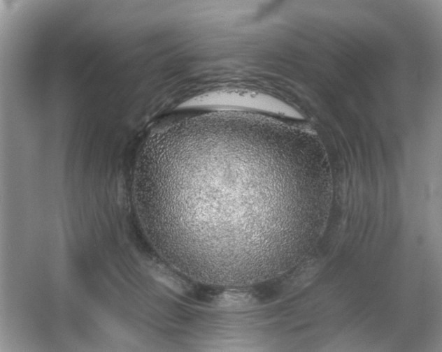 X0000067460270200604101141