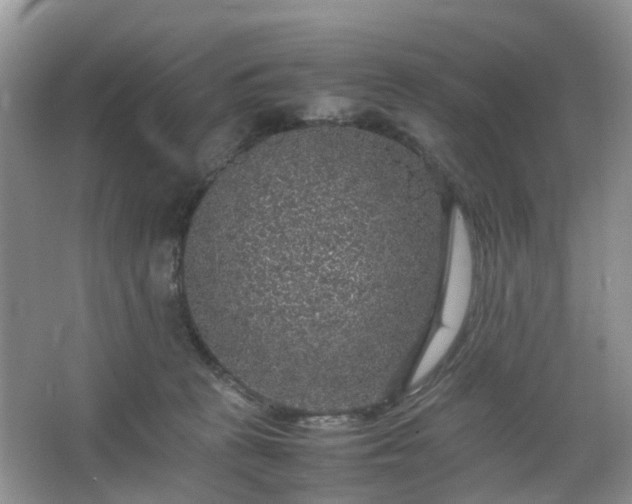 X0000067460273200604101141