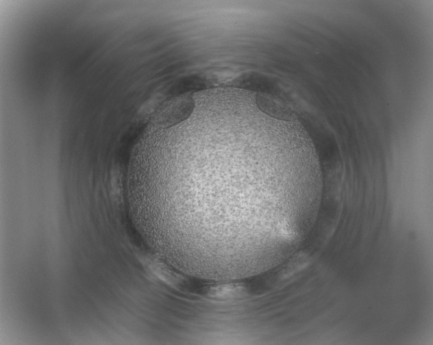 X0000067460274200604101141