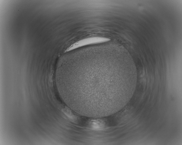 X0000067460275200604101141