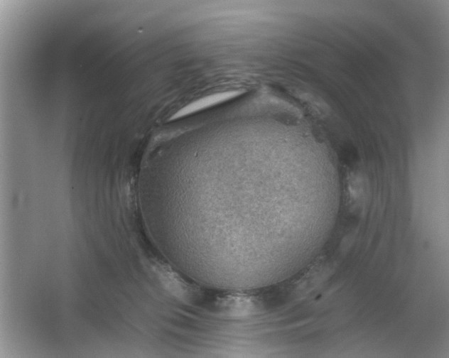 X0000067460276200604101141