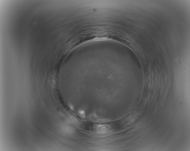 X0000067460277200604101141