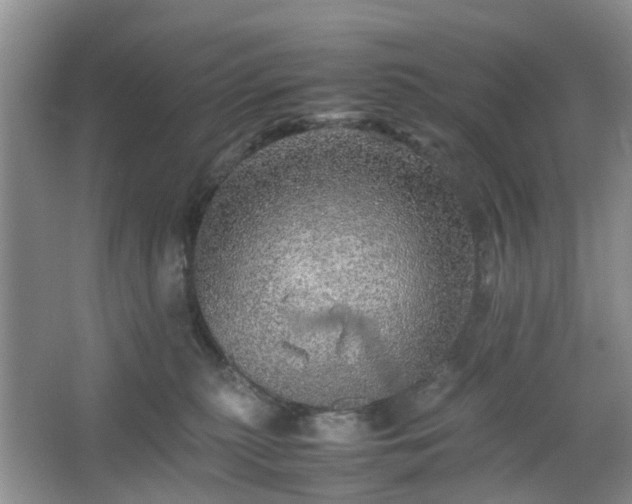 X0000067460279200604101141