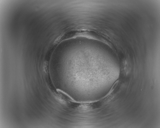 X0000067460280200604101141