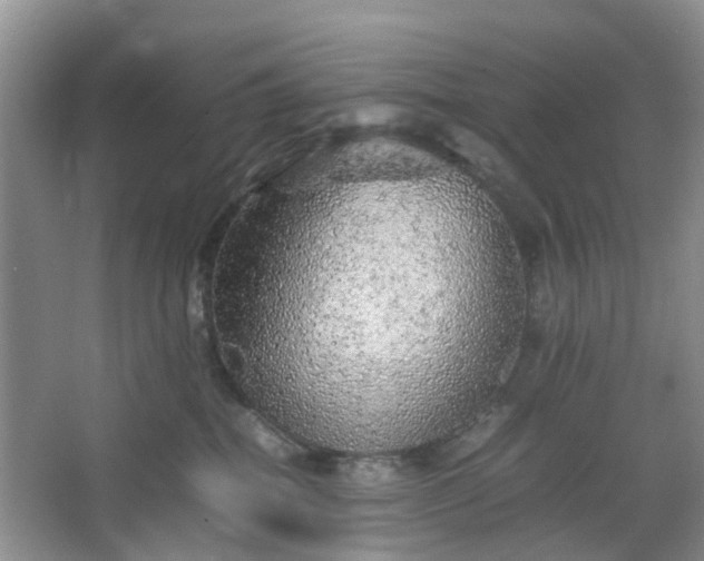 X0000067460282200604101141