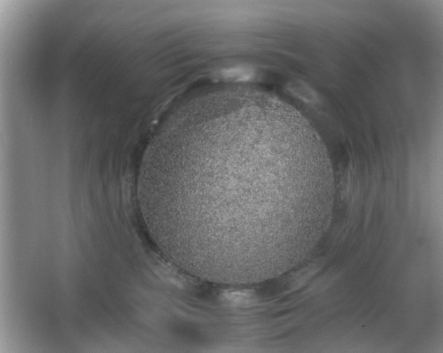 X0000067460283200604101141