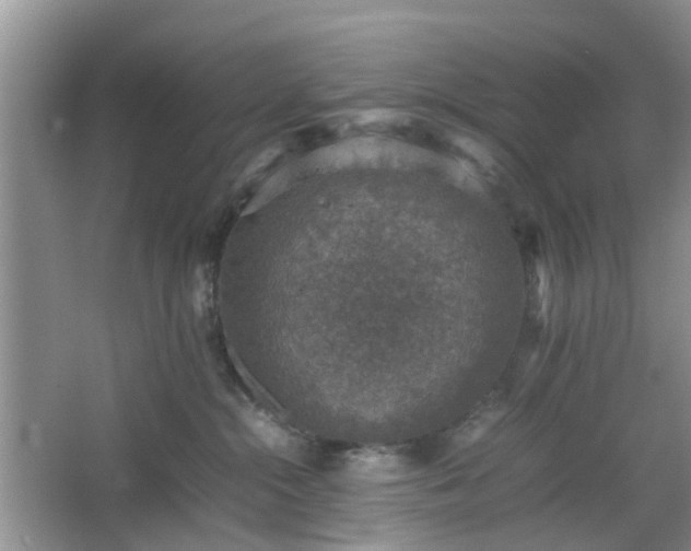 X0000067460284200604101141