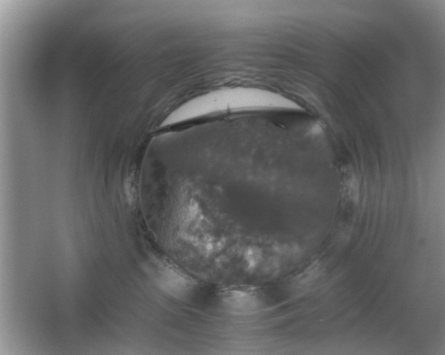 X0000067460285200604101141