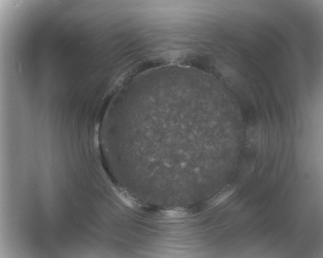 X0000067460286200604101141