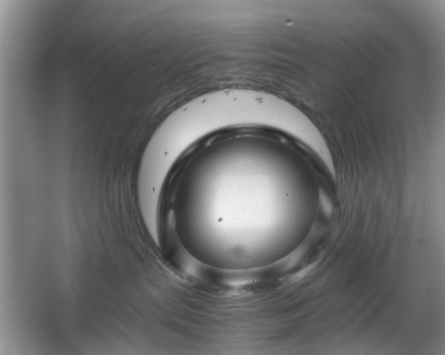 X0000067460287200604101141