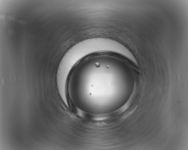 X0000067460288200604101141