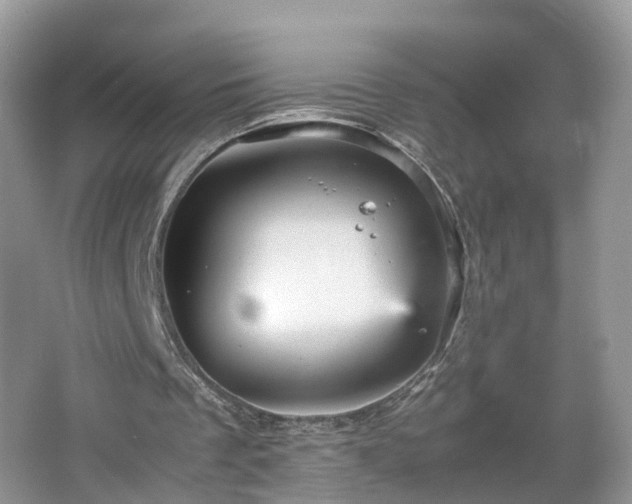 X0000067460289200604101140