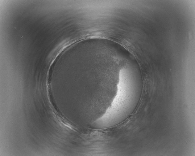 X0000067460290200604101140