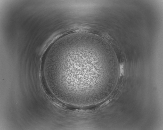 X0000067460291200604101140