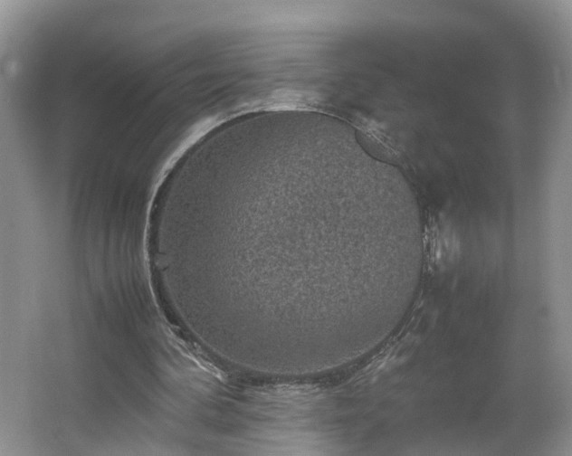 X0000067460292200604101140