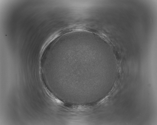 X0000067460293200604101140