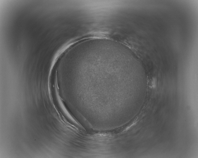 X0000067460294200604101140