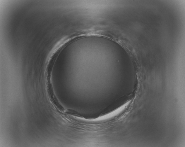 X0000067460295200604101140