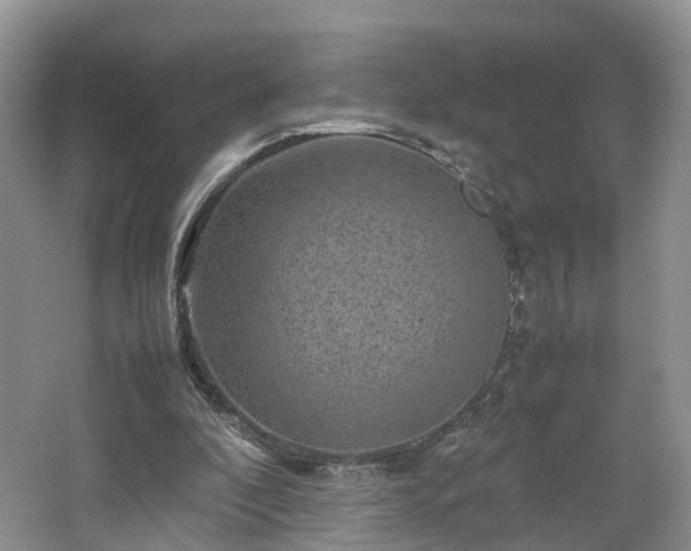 X0000067460296200604101140