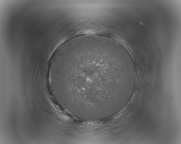 X0000067460297200604101140