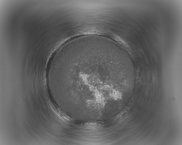 X0000067460298200604101140