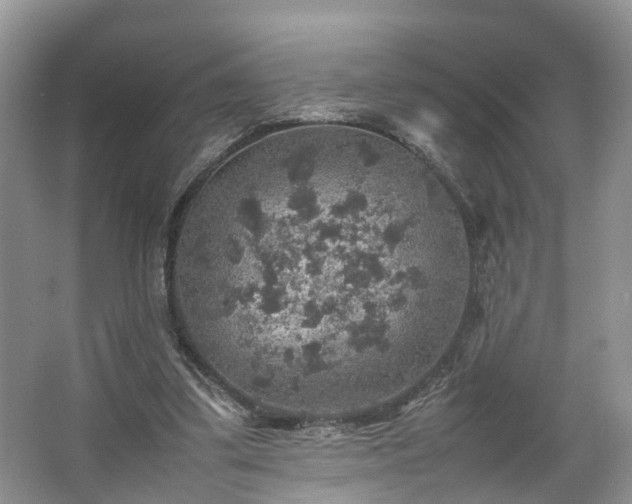 X0000067460299200604101140