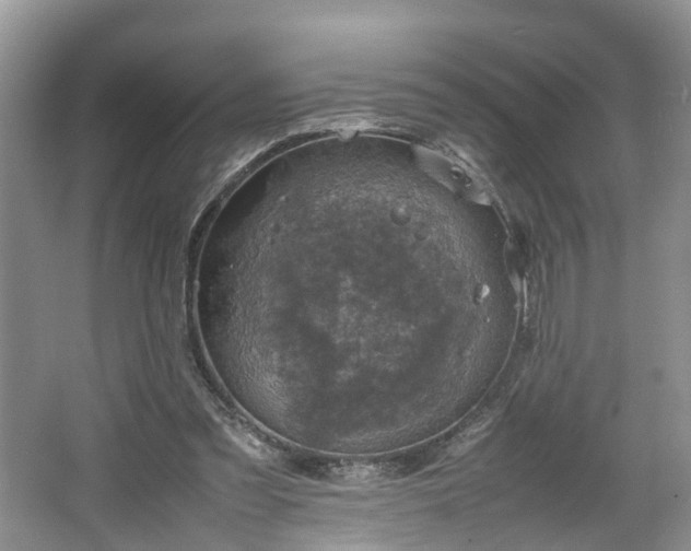 X0000067460301200604101140