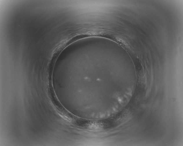 X0000067460303200604101140