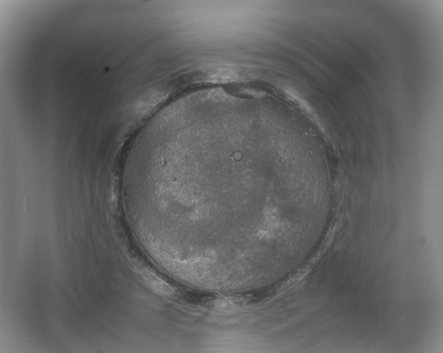 X0000067460305200604101140